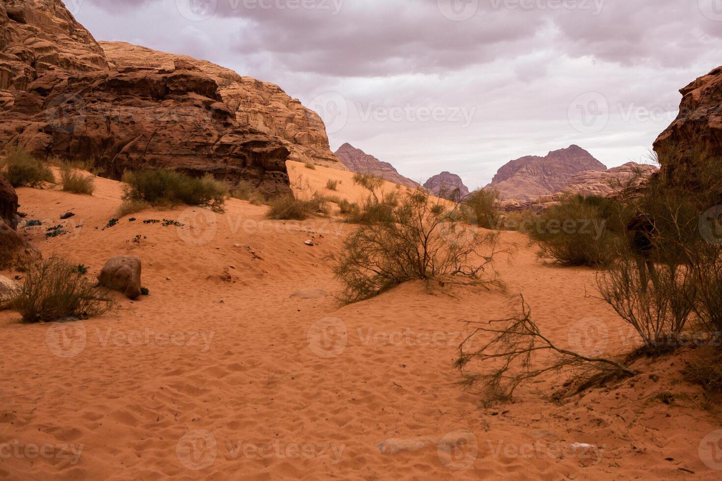 Wadi Rum Desert in Jordan. On the Sunset. Panorama of beautiful sand pattern on the dune. Desert landscape in Jordan. photo
