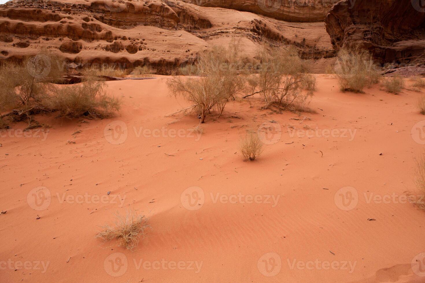 cauce Ron Desierto en Jordán. en el puesta de sol. panorama de hermosa arena modelo en el duna. Desierto paisaje en Jordán. foto