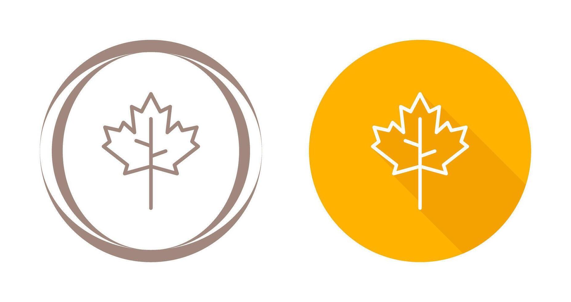 Maple leaf Vector Icon