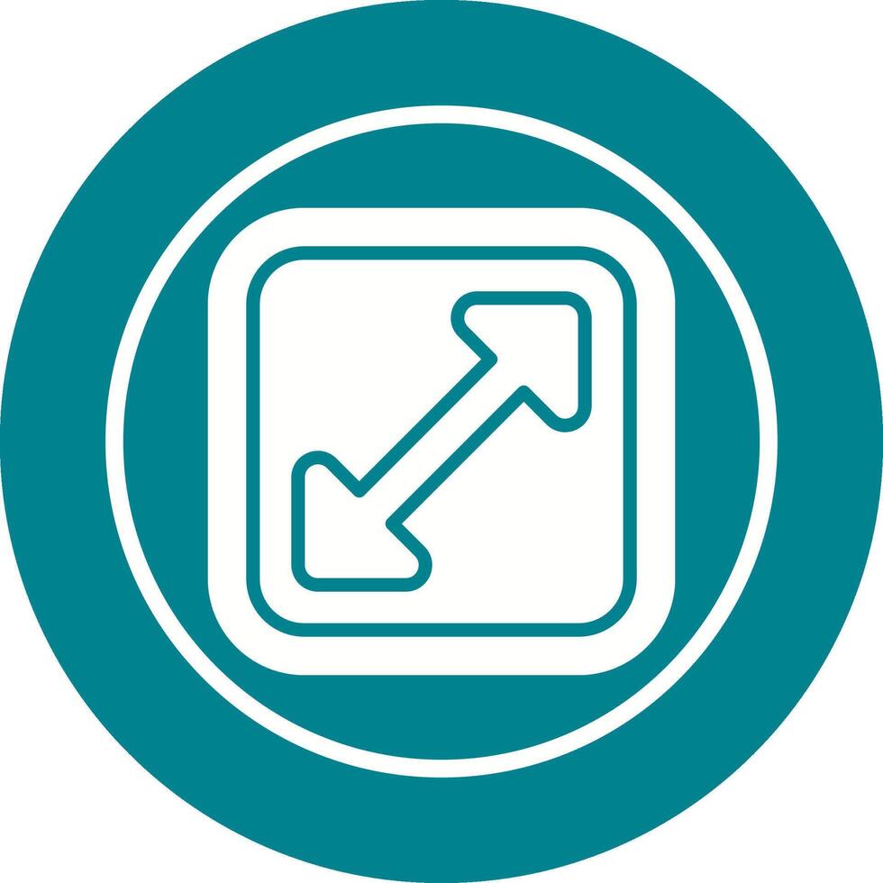 Enlarge Vector Icon