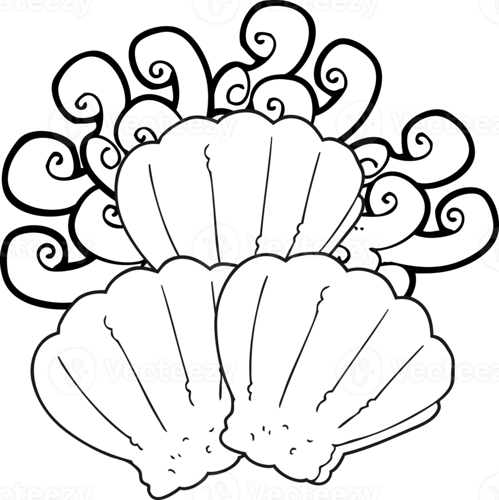 black and white cartoon shells png