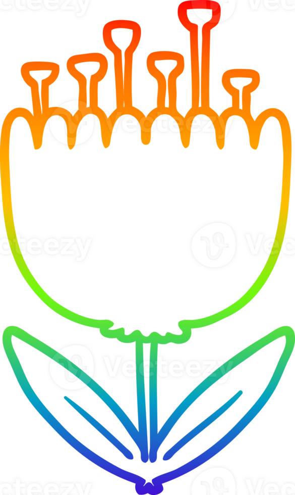 rainbow gradient line drawing cartoon flower png