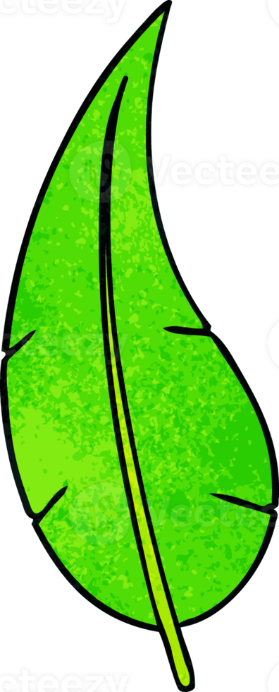 textured cartoon doodle of a green long leaf png