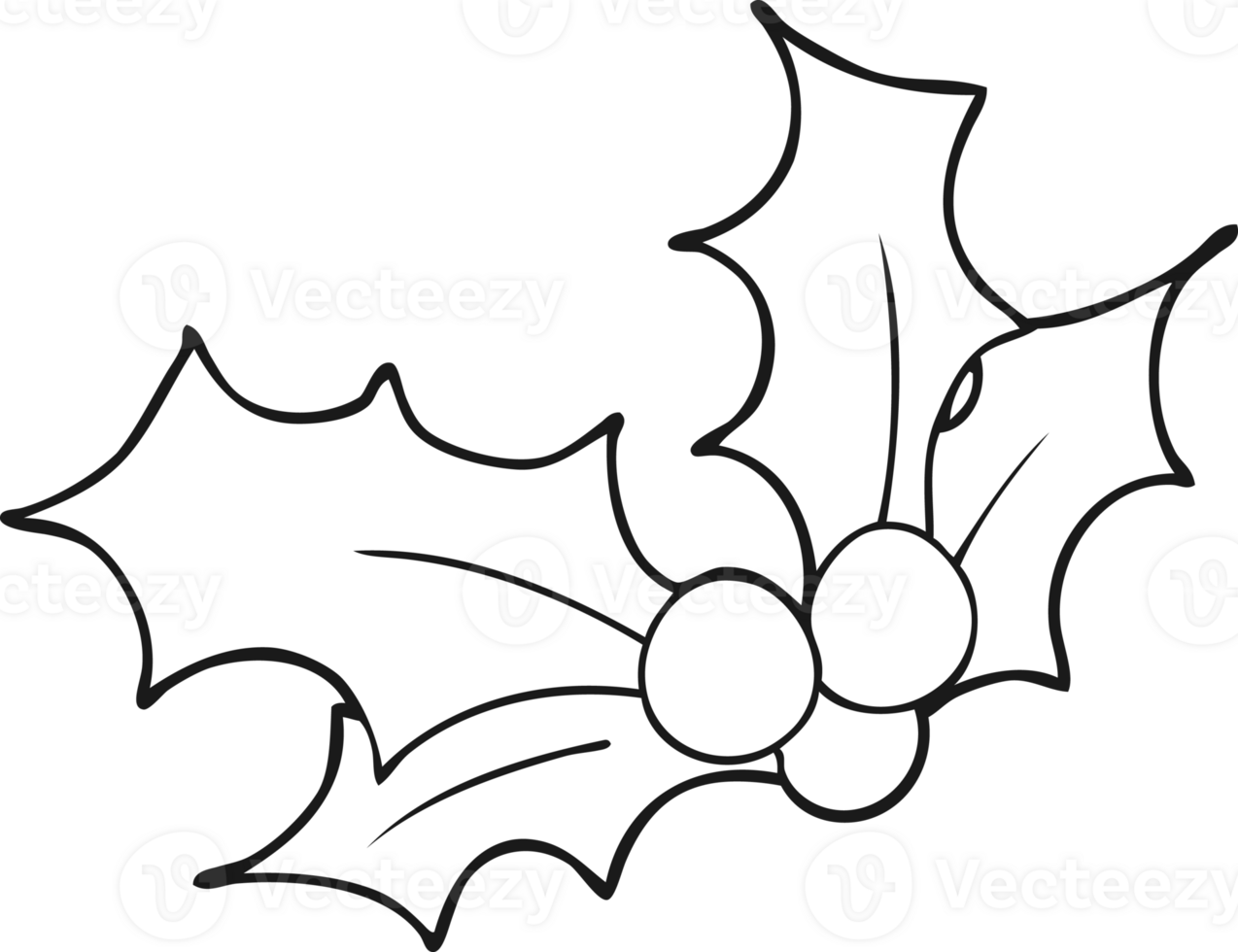 black and white cartoon christmas holly png