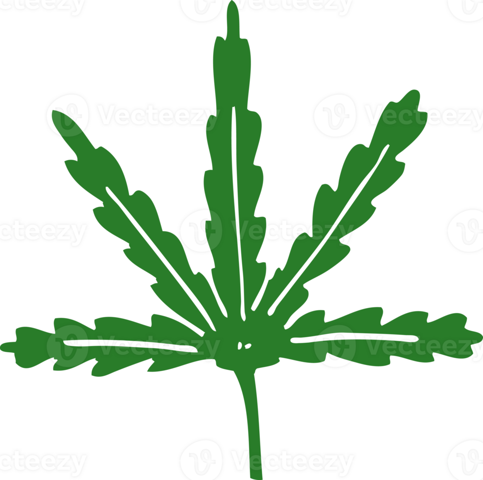cartoon doodle marijuana leaf png