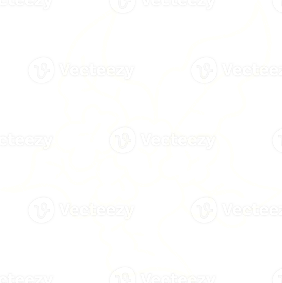 Plant Chalk Drawing png