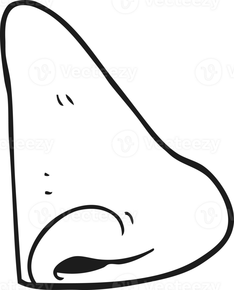 hand drawn black and white cartoon human nose png