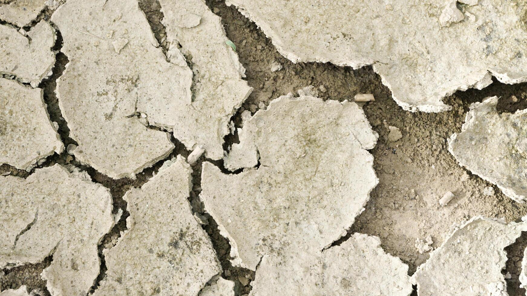 the ground cracks during the prolonged dry season photo