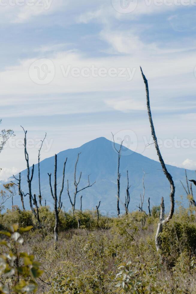 Mount Guntur, West Java photo