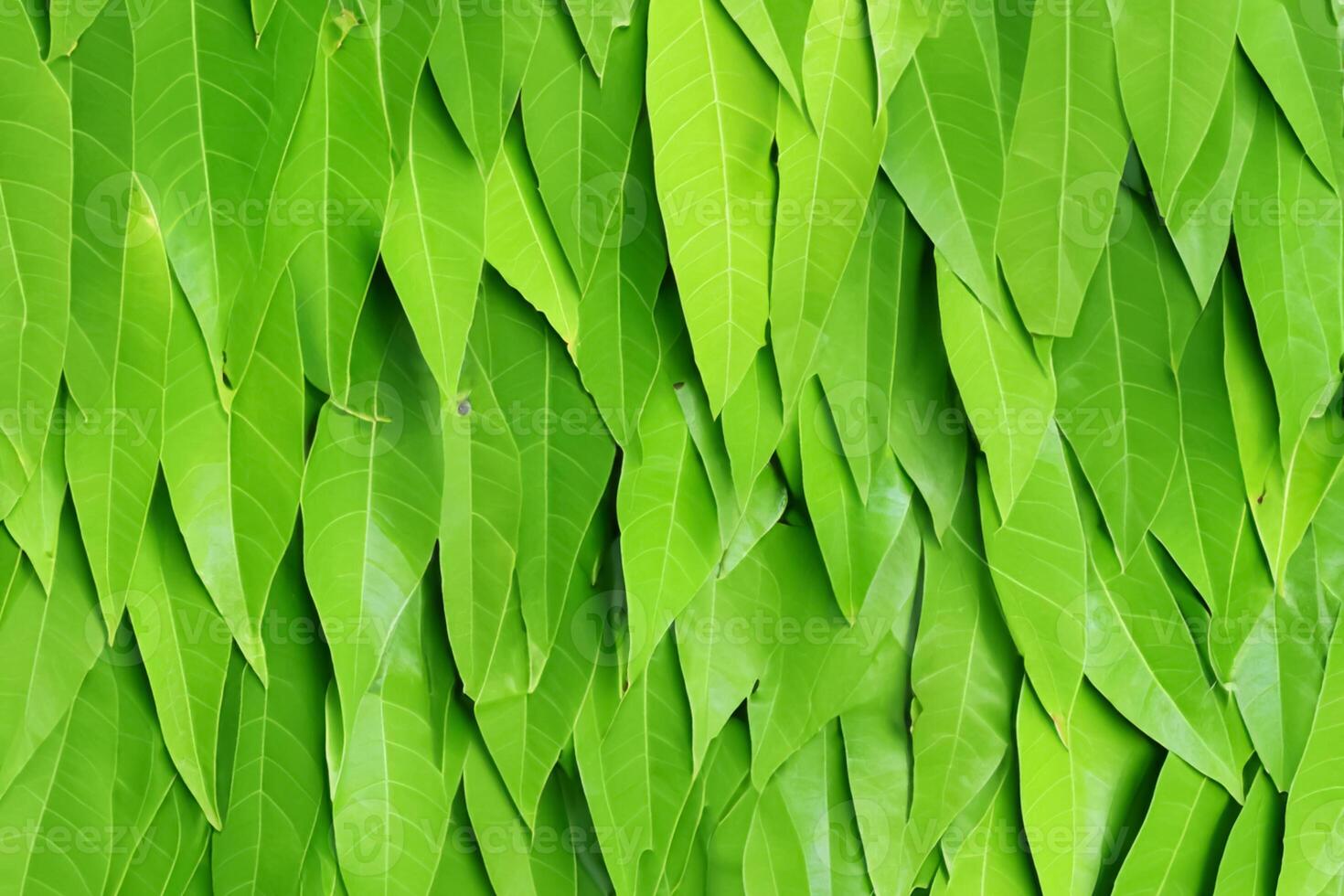 Unveiling Nature's Splendor in Every Delicate Vein, a Kaleidoscope of Beauty Adorns this Close-Up Elegance, where Greenery Becomes an Intricate Tapestry of Life photo