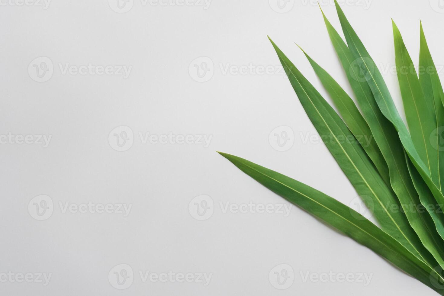 A Culinary Odyssey with the Beautiful Pandan Leaf, Infusing Delicate Aromas and Vibrant Green Hues into Exquisite Dishes, Elevating Flavor Profiles with Nature's Fresh Elegance photo