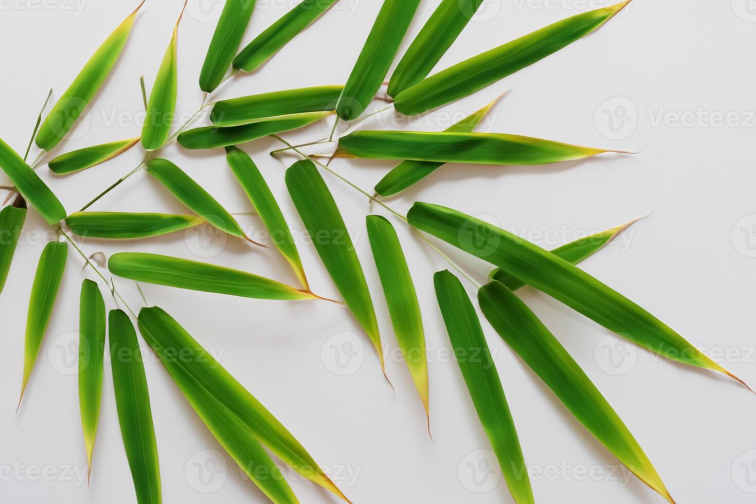 Embracing the Allure of Beautiful Bamboo Leaves, where Graceful Green Blades Dance in Harmonious Symphony, Creating a Tranquil Oasis of Nature's Poise and Timeless Beauty photo