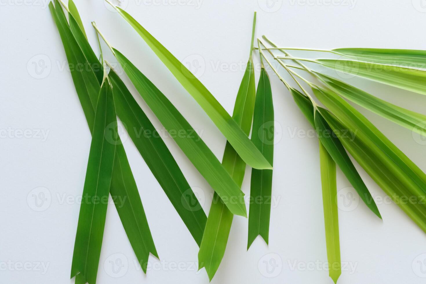 abrazando el seducir de hermosa bambú hojas, dónde agraciado verde cuchillas danza en armonioso sinfonía, creando un tranquilo oasis de de la naturaleza equilibrio y eterno belleza foto