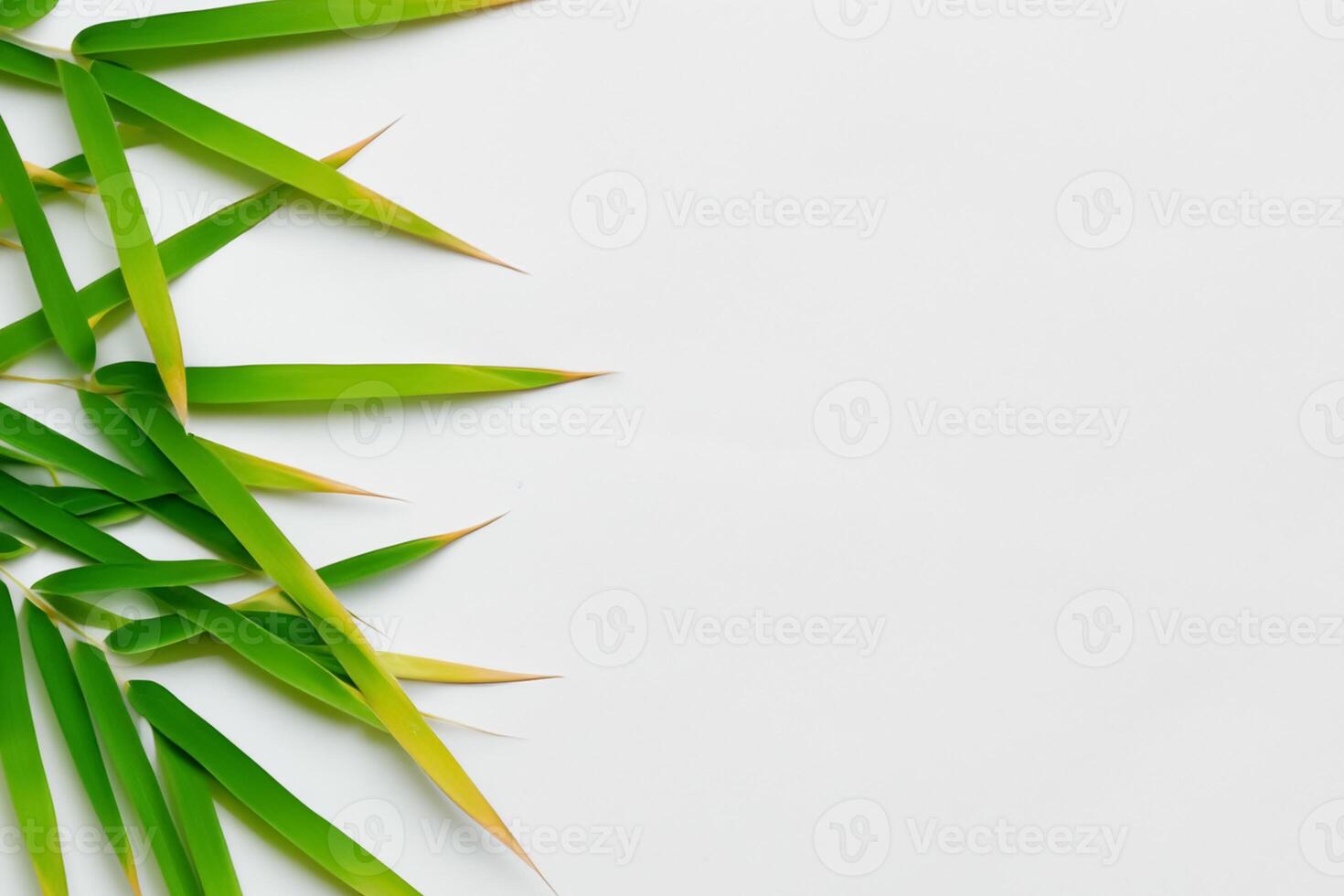 Embracing the Allure of Beautiful Bamboo Leaves, where Graceful Green Blades Dance in Harmonious Symphony, Creating a Tranquil Oasis of Nature's Poise and Timeless Beauty photo