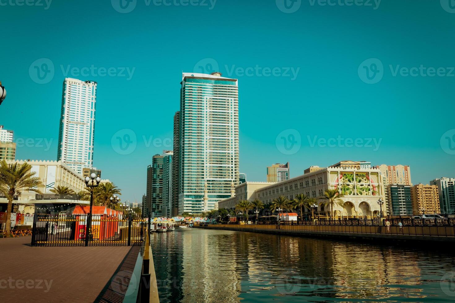 Sharjah city, view of the modern city, seagulls in the city photo