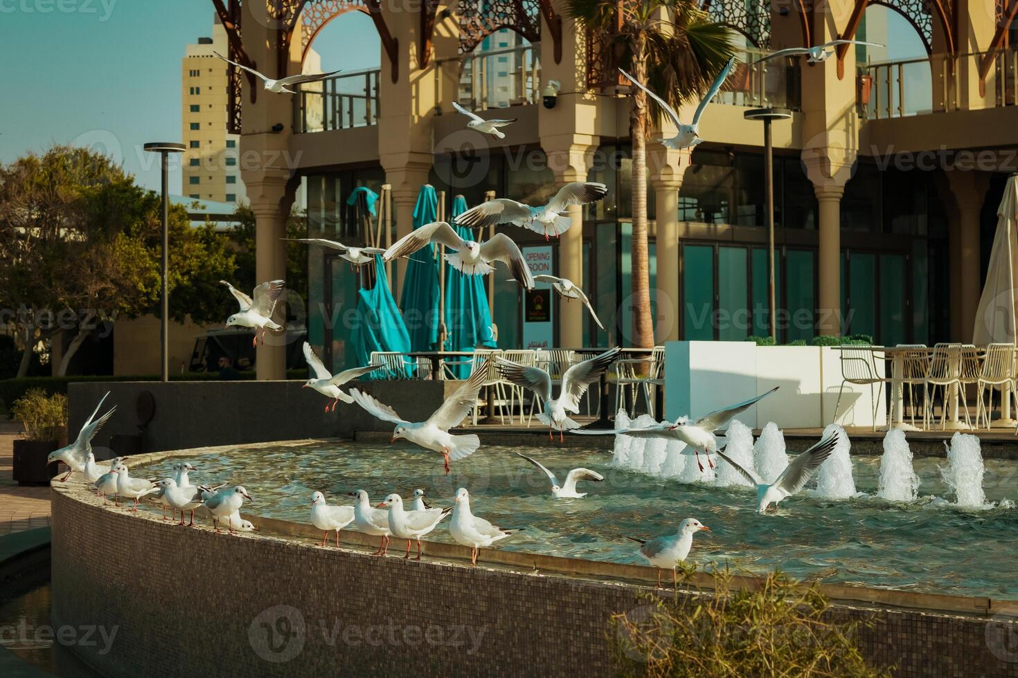 Sharjah ciudad, ver de el moderno ciudad, gaviotas en el ciudad foto