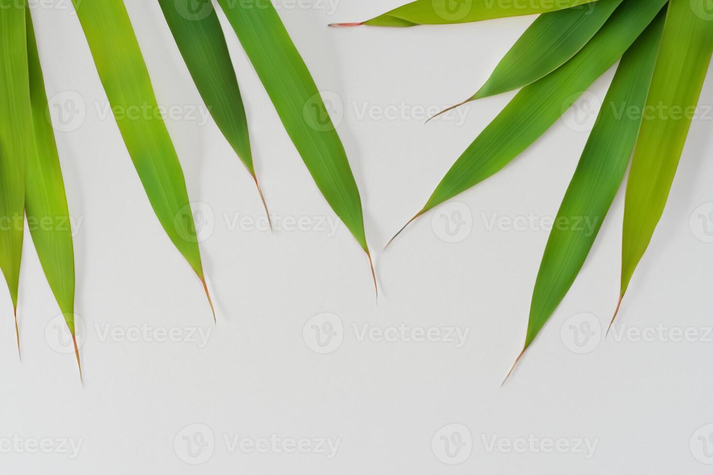 Embracing the Allure of Beautiful Bamboo Leaves, where Graceful Green Blades Dance in Harmonious Symphony, Creating a Tranquil Oasis of Nature's Poise and Timeless Beauty photo