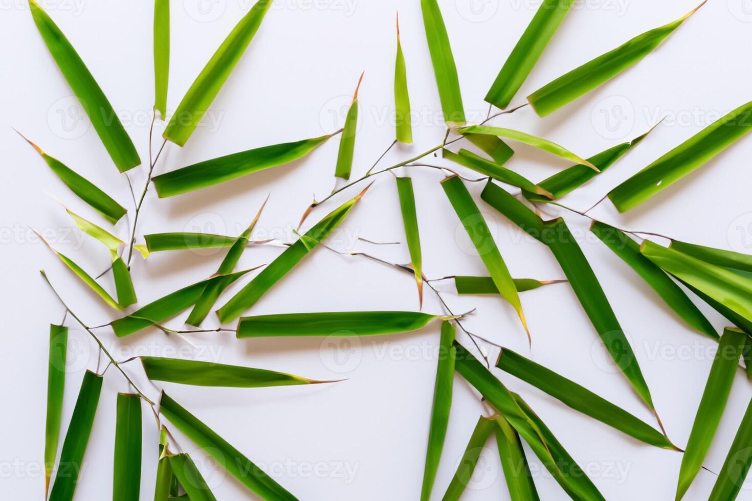 Embracing the Allure of Beautiful Bamboo Leaves, where Graceful Green Blades Dance in Harmonious Symphony, Creating a Tranquil Oasis of Nature's Poise and Timeless Beauty photo