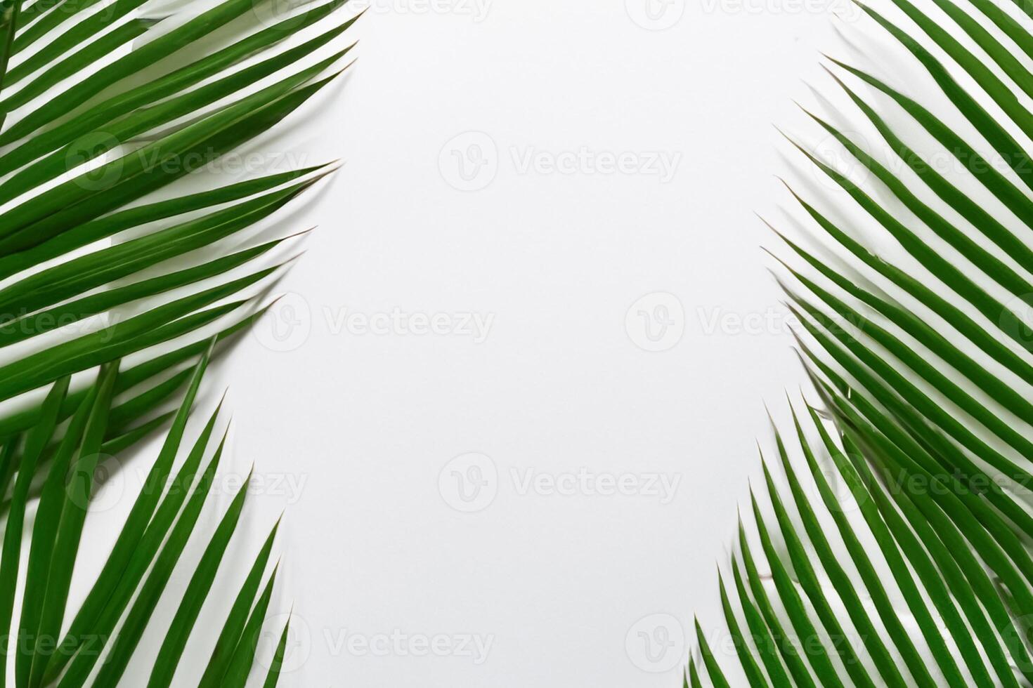 Reveling in the Tropical Splendor of Beautiful Palm Leaves, Where Sun-Kissed Fronds Sway in Nature's Rhythm, Crafting a Breathtaking Tapestry of Exotic Elegance and Endless Tranquility photo