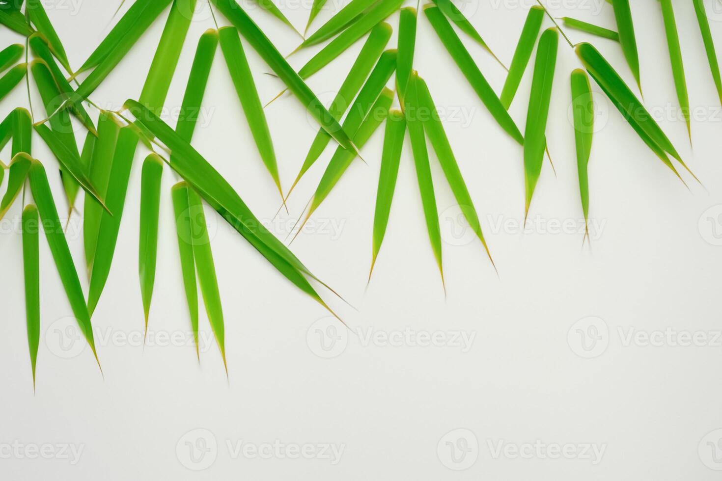 Embracing the Allure of Beautiful Bamboo Leaves, where Graceful Green Blades Dance in Harmonious Symphony, Creating a Tranquil Oasis of Nature's Poise and Timeless Beauty photo