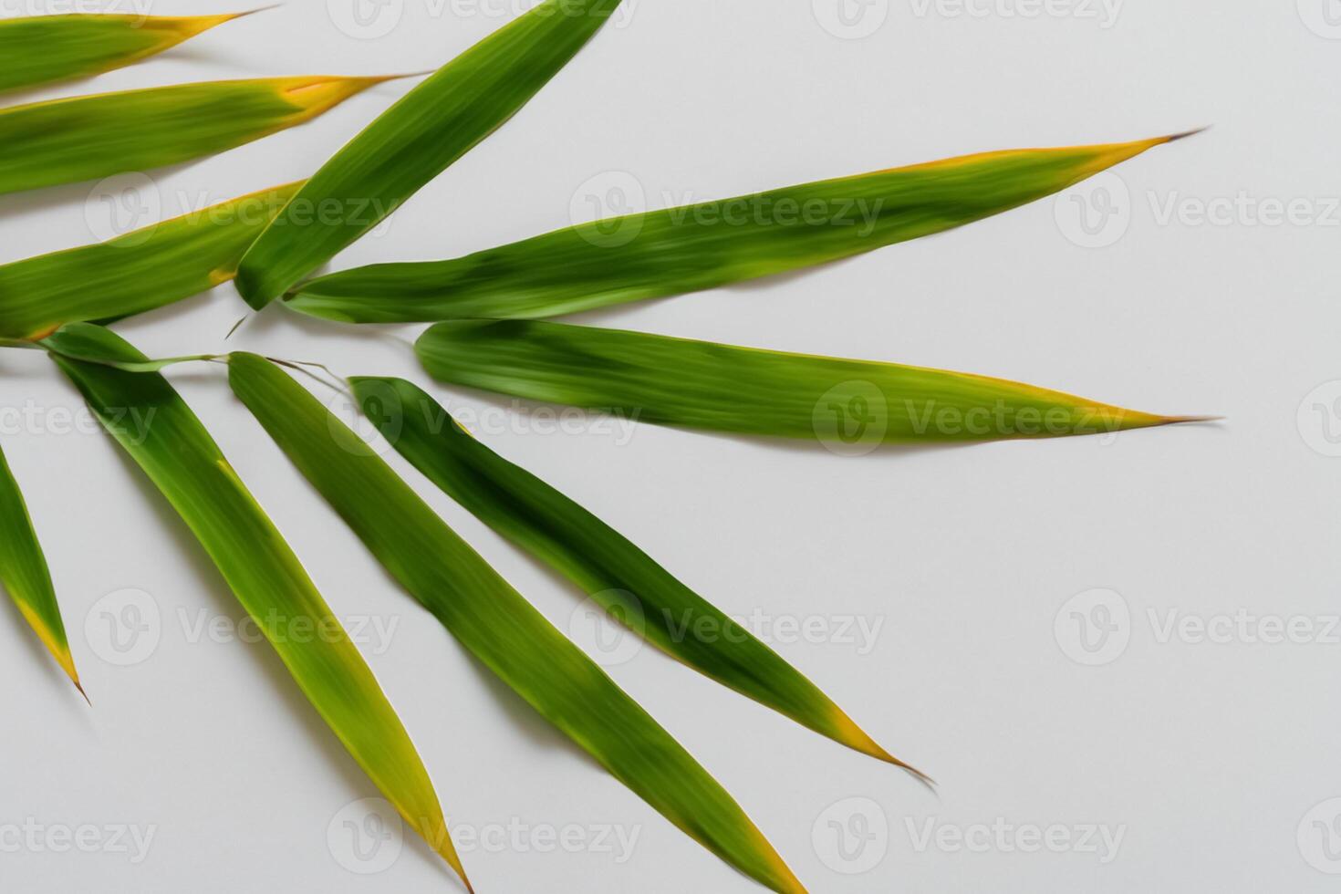 abrazando el seducir de hermosa bambú hojas, dónde agraciado verde cuchillas danza en armonioso sinfonía, creando un tranquilo oasis de de la naturaleza equilibrio y eterno belleza foto