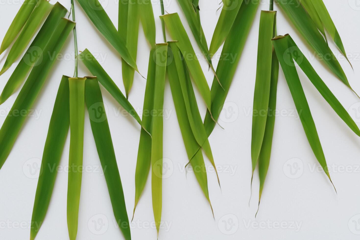 Embracing the Allure of Beautiful Bamboo Leaves, where Graceful Green Blades Dance in Harmonious Symphony, Creating a Tranquil Oasis of Nature's Poise and Timeless Beauty photo