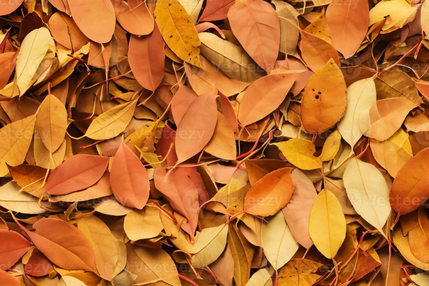 A Captivating Glimpse into the Beauty of Nature's Leaves, Where Each Vein Tells a Story of Life, Creating a Tranquil Canvas of Botanical Splendor and Green Elegance photo