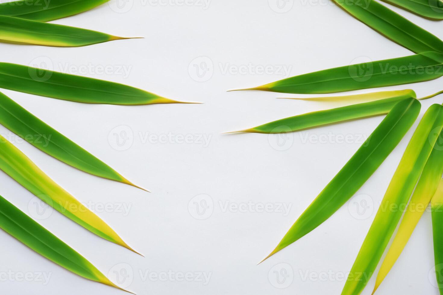 Embracing the Allure of Beautiful Bamboo Leaves, where Graceful Green Blades Dance in Harmonious Symphony, Creating a Tranquil Oasis of Nature's Poise and Timeless Beauty photo