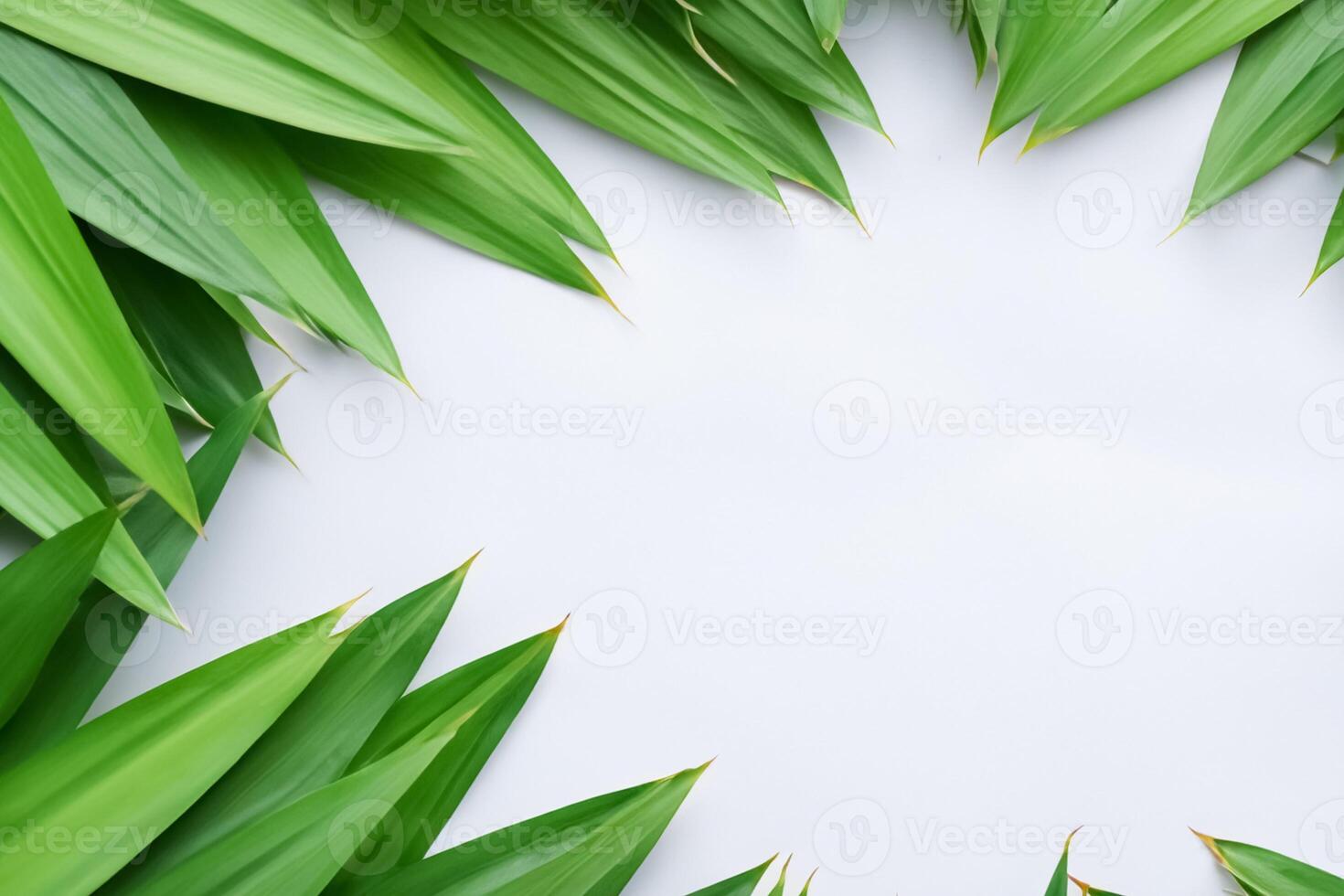 A Culinary Odyssey with the Beautiful Pandan Leaf, Infusing Delicate Aromas and Vibrant Green Hues into Exquisite Dishes, Elevating Flavor Profiles with Nature's Fresh Elegance photo