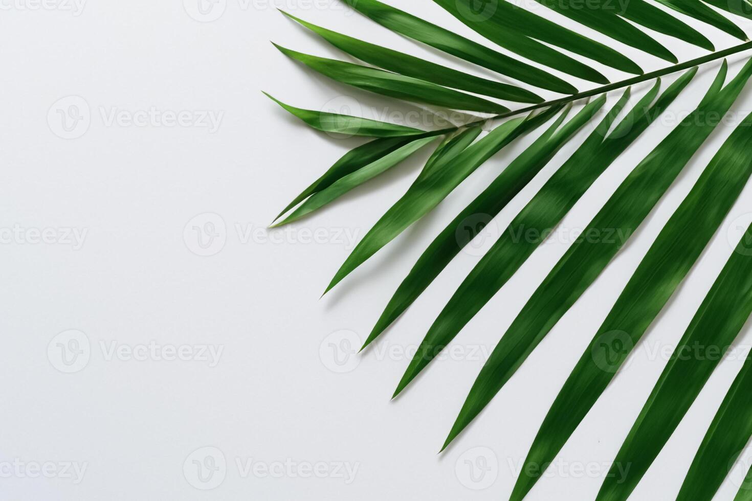 Reveling in the Tropical Splendor of Beautiful Palm Leaves, Where Sun-Kissed Fronds Sway in Nature's Rhythm, Crafting a Breathtaking Tapestry of Exotic Elegance and Endless Tranquility photo