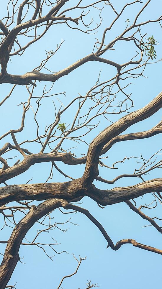 AI generated Dead tree branches due to dry season against vibrant blue sky Vertical Mobile Wallpaper photo