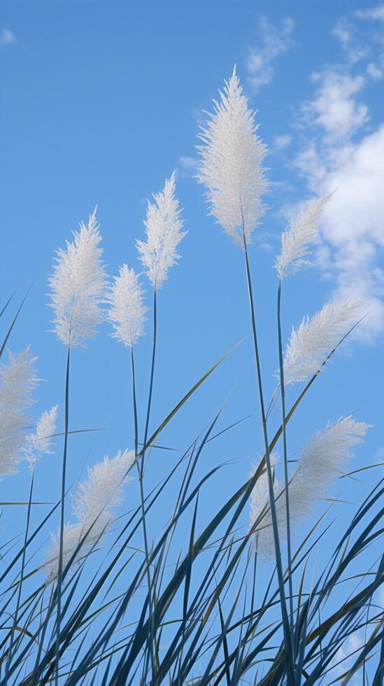 AI generated view Reed flower against bright blue sky Phragmites australis bottom view Vertical Mobile Wallpaper photo