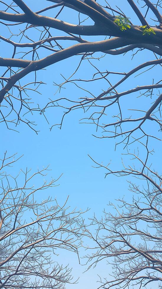 AI generated view Bright blue sky background Dry tree branches in the foreground Vertical Mobile Wallpaper photo