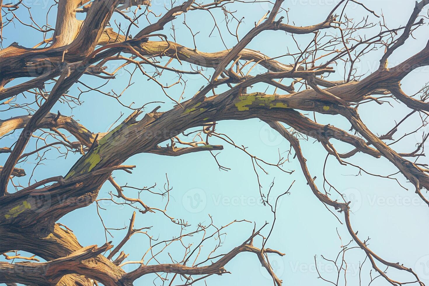 AI generated Dry tree branches against bright blue sky Symbol of drought photo