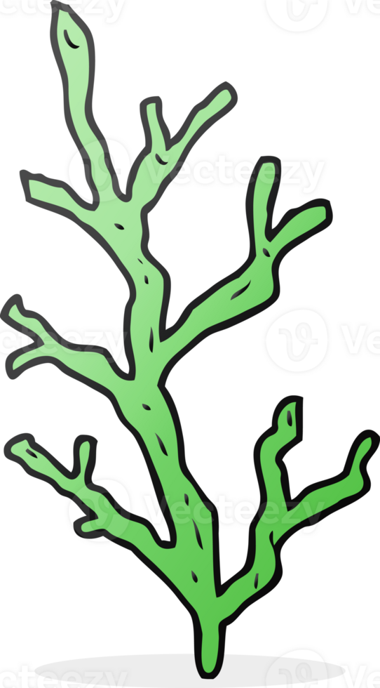 hand drawn cartoon seaweed png