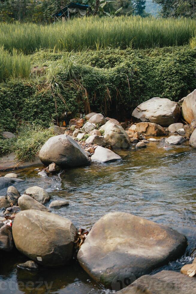 explorar sentul bogor espectacular cascadas y bosque caminos. un excursionismo aventuras con amigos en Gunung pancar. maravilloso fotografía - maravilloso Indonesia foto