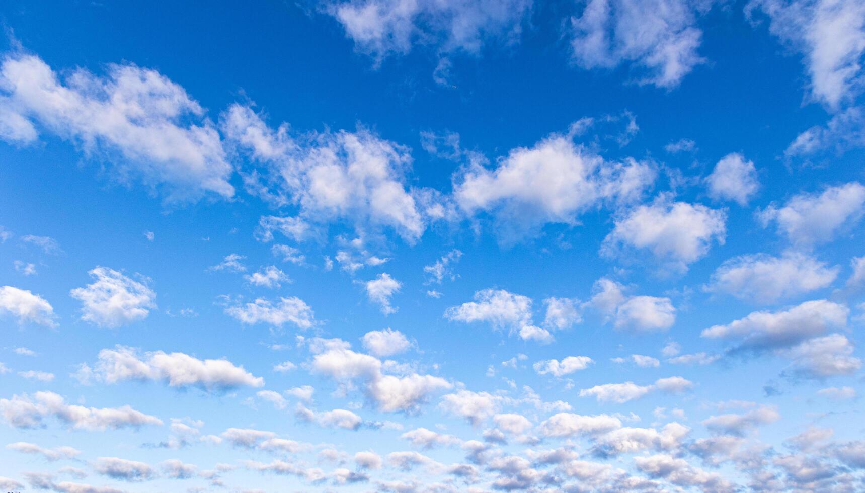 Blue sky morning sky on a winter morning. photo