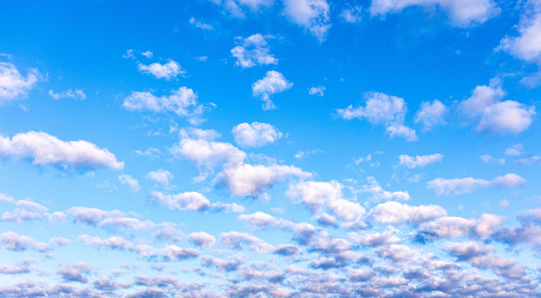 Blue sky morning sky on a winter morning. photo