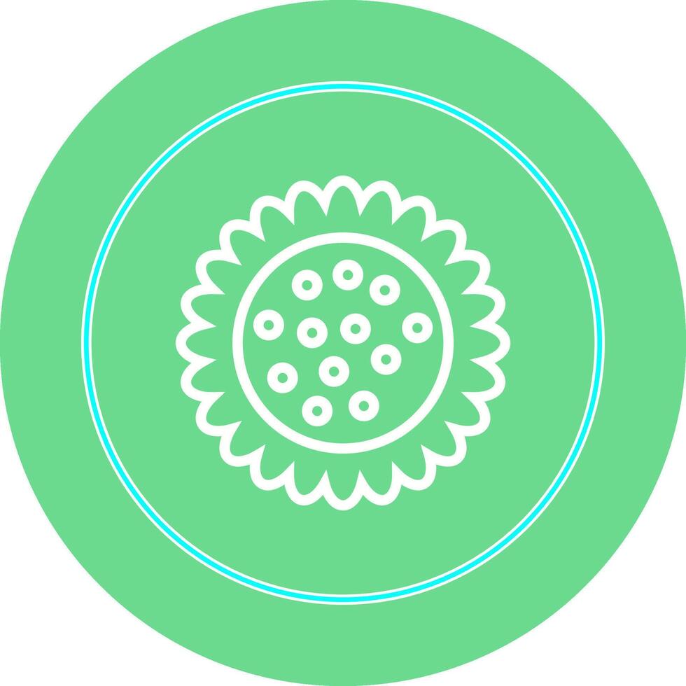 Sunflower Vector Icon