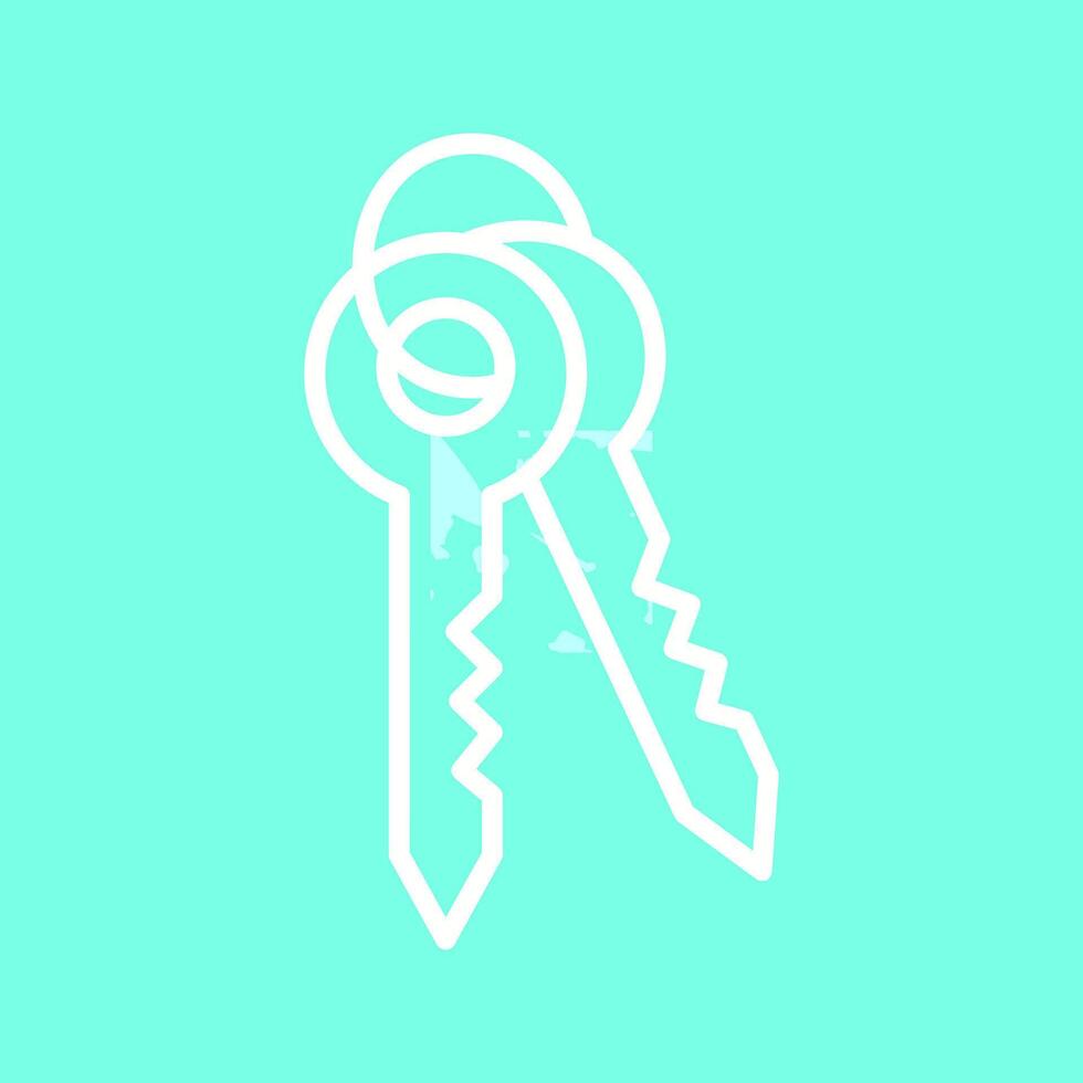 Keys Vector Icon