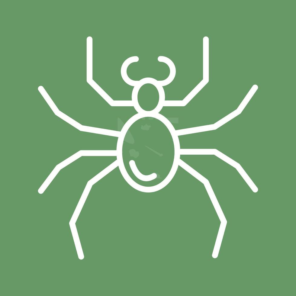 Spider Vector Icon