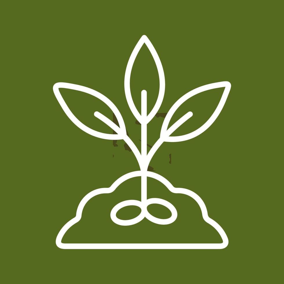 Seed Vector Icon