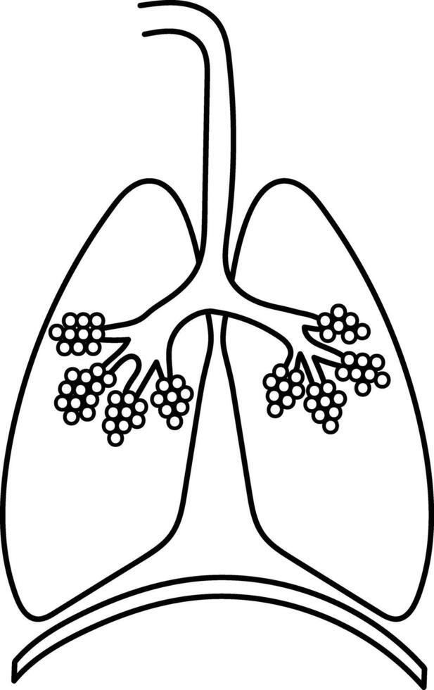 Respiratory System Simple Line Illustration Parts for Educational Purposes vector