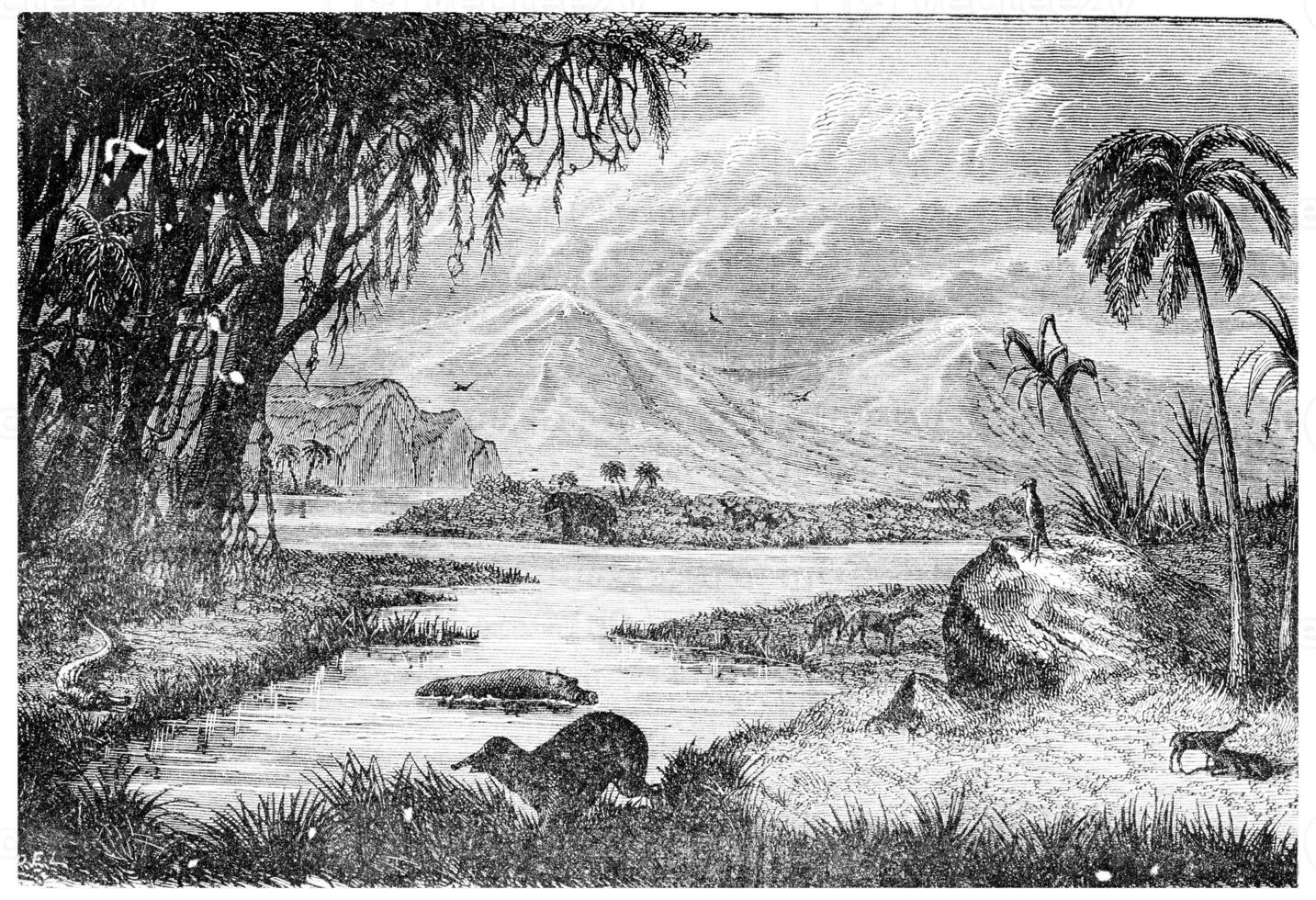 Landscape of the Miocene period in France, vintage engraving. photo