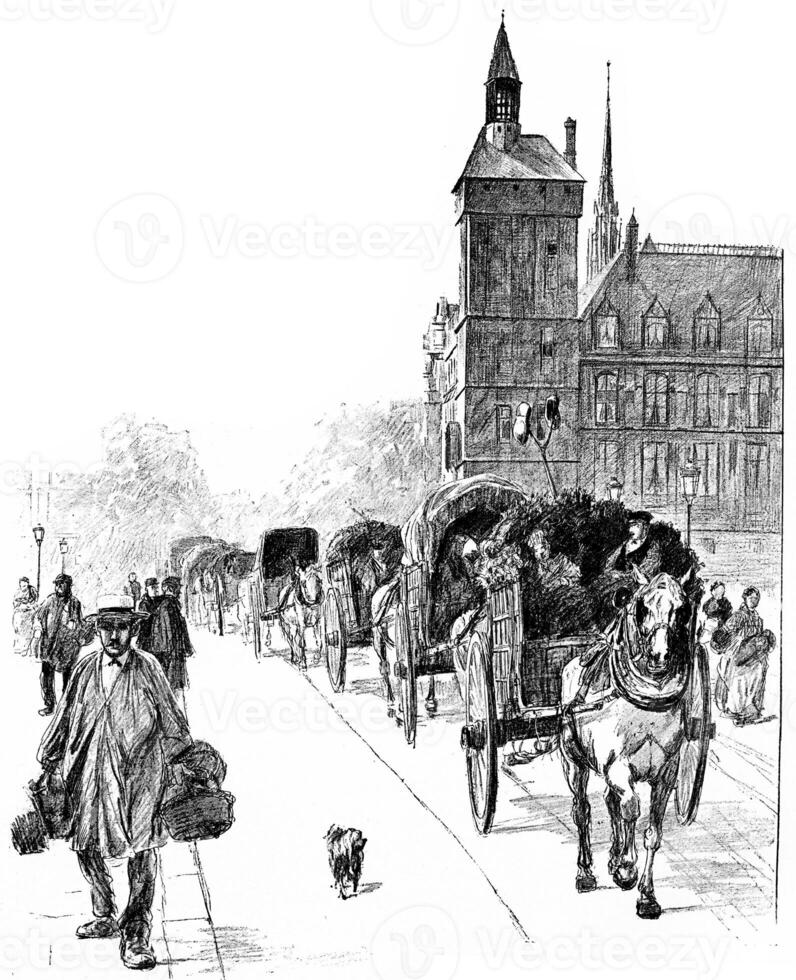 Arrivals from the suburbs, vintage engraving. photo