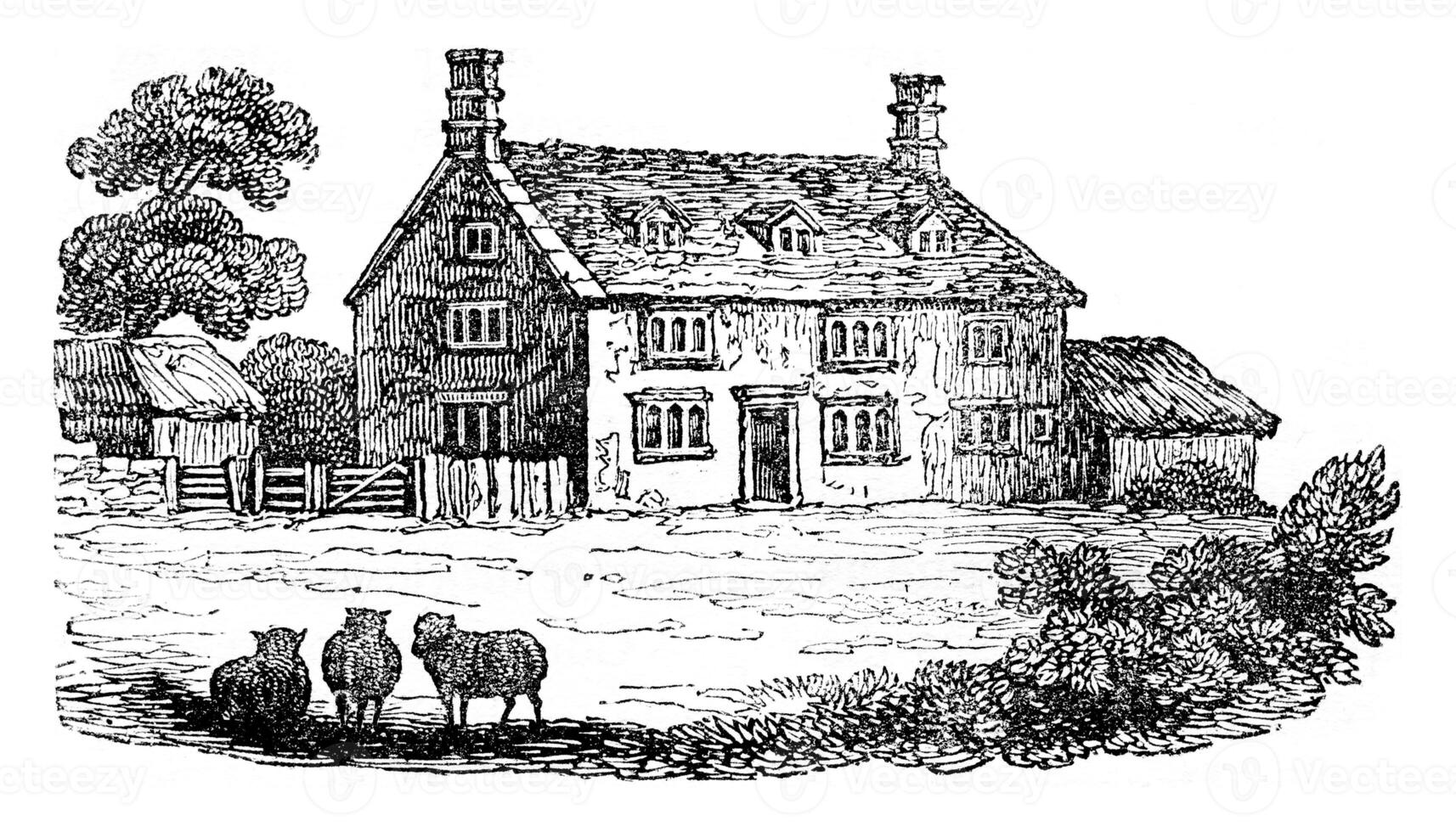 Home and Newton died in 1727, vintage engraving. photo