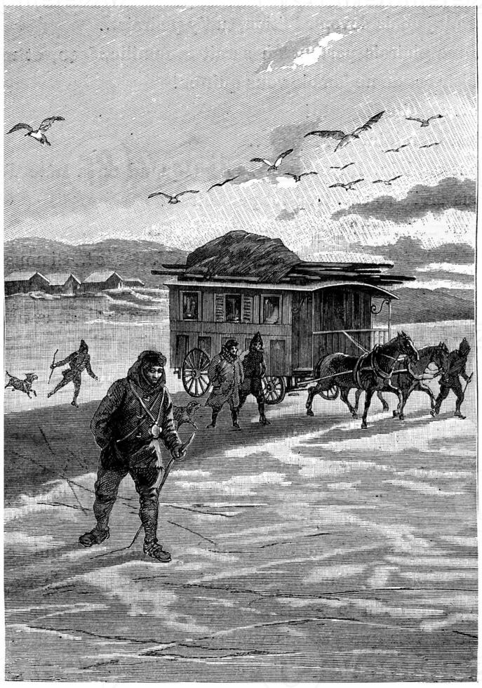 They finally left the land of America, vintage engraving. photo