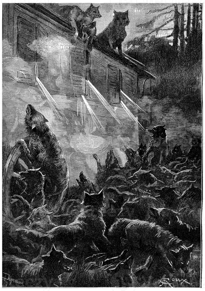 Nothing can stop the rage of the beasts, vintage engraving. photo