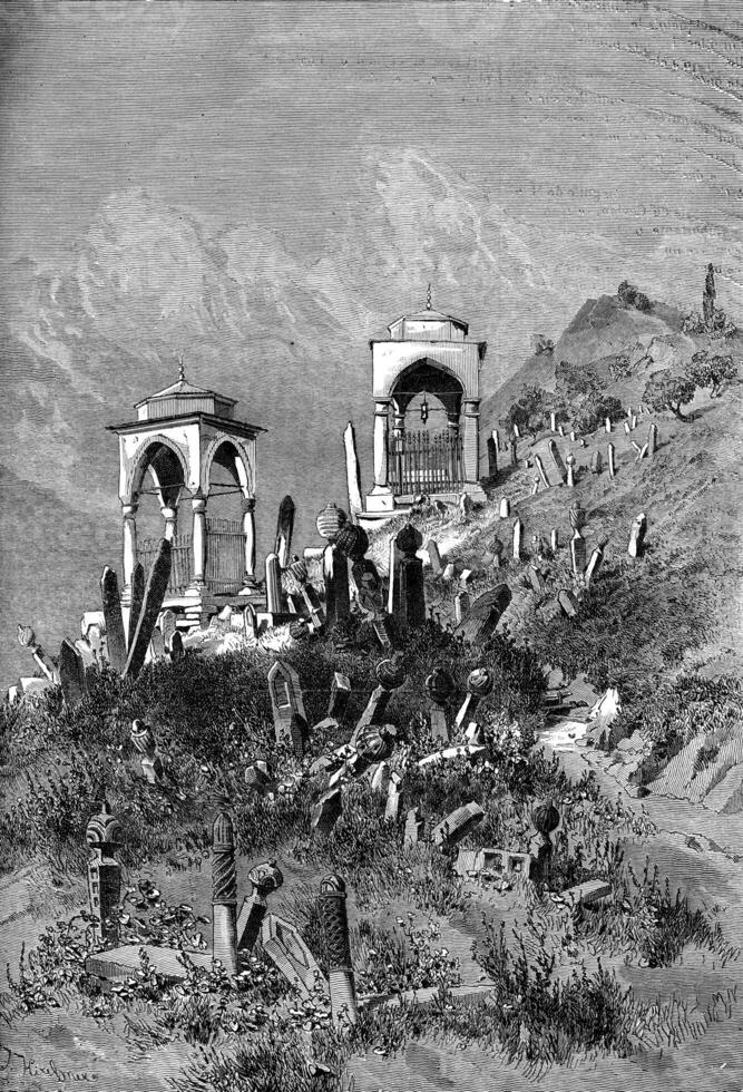 The cemetery in Sarajevo. Ca and the amount of mausoleums, vintage engraving. photo
