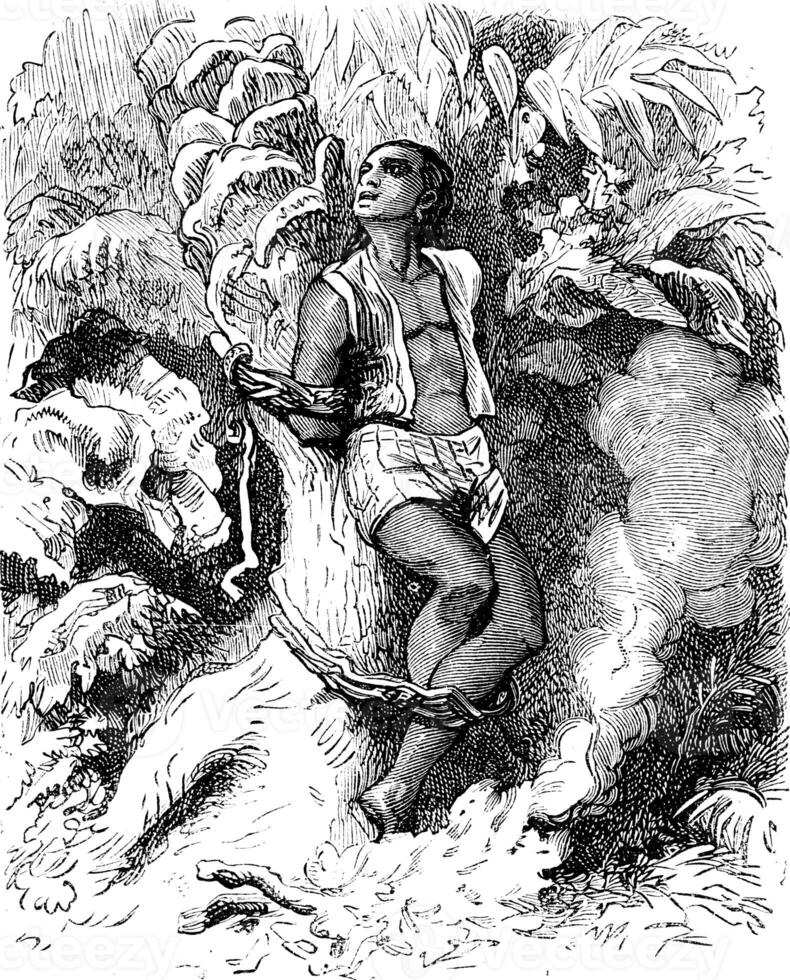 Dramas of India. The trunk of a palm tree, a human creature was attached, vintage engraving. photo